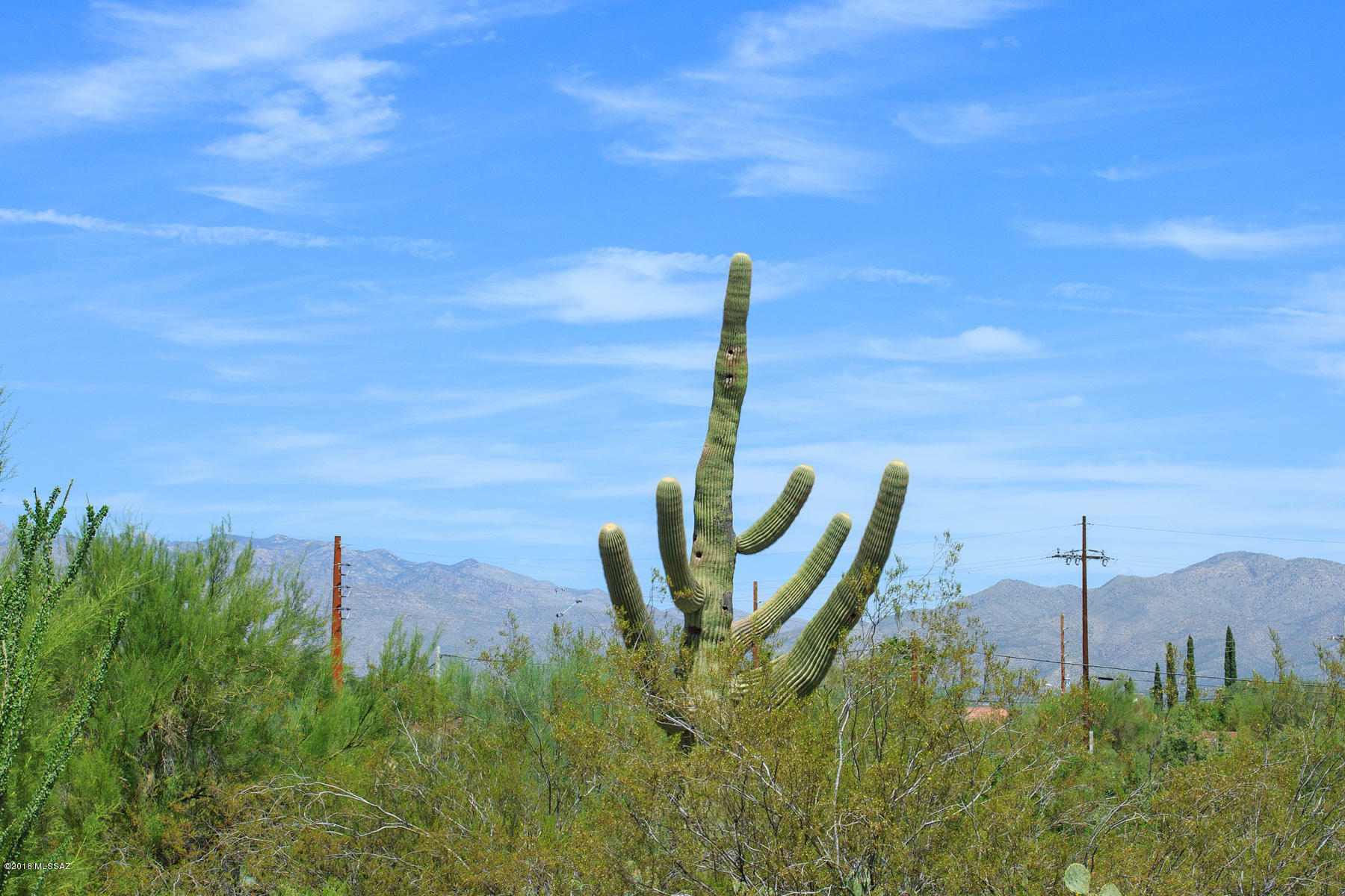 Property Photo: 67 S Shadow Creek Place AZ 85748