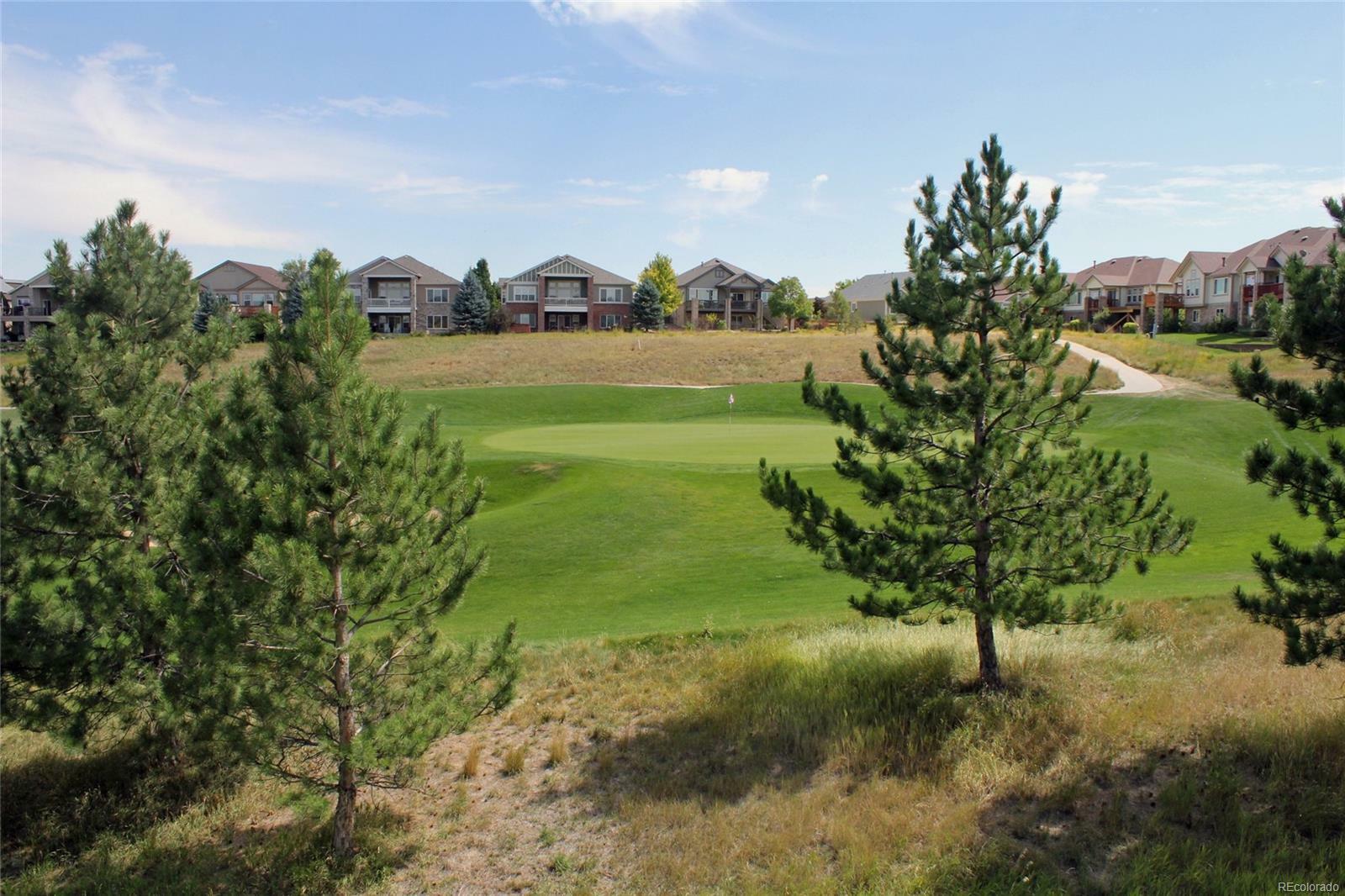 Property Photo:  22053 East Heritage Parkway  CO 80016 