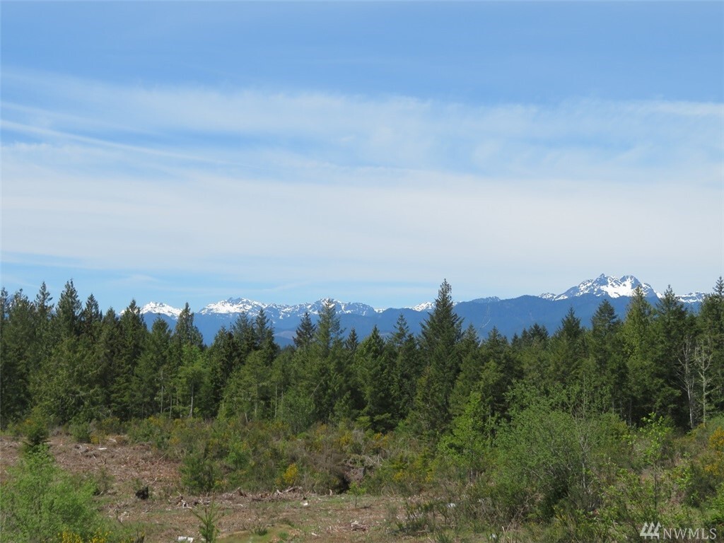 Property Photo: Lot 5 Wayne Rd WA 98380