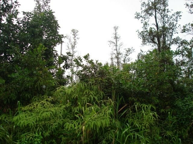 Property Photo:  16-2103 Lilikoi Dr  HI 96778 