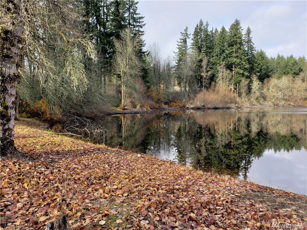 Property Photo:  12910 State Route 507 SE  WA 98597 