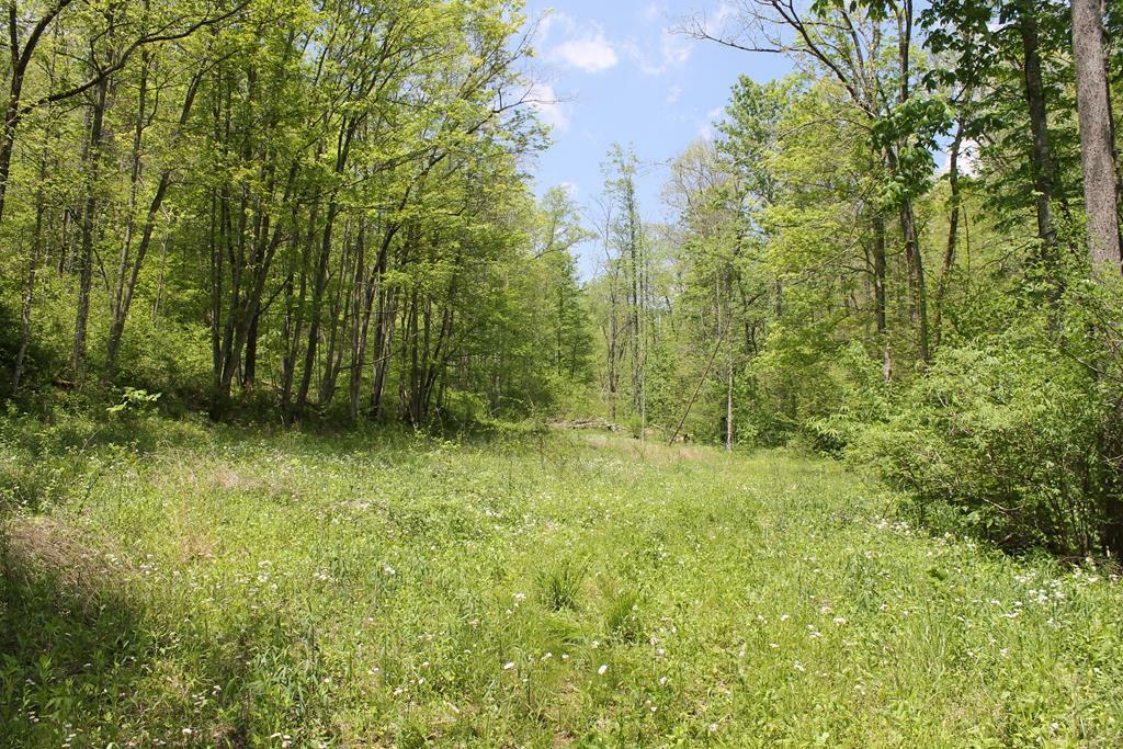Property Photo: 999 Blacksmith KY 40456