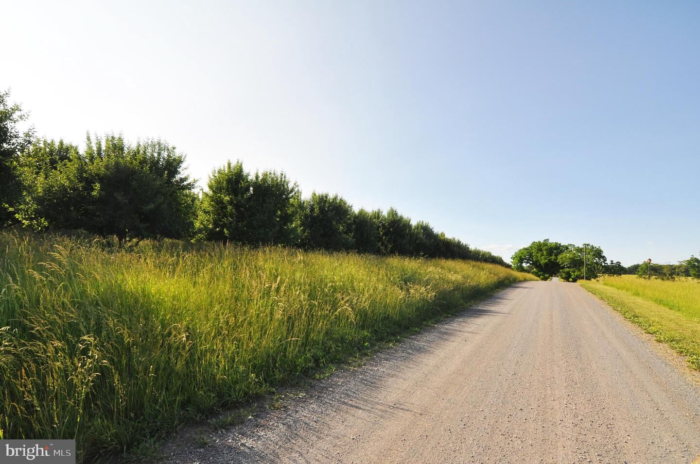 Property Photo: 0 New Hope Road VA 22625