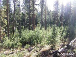 Property Photo:  0 Snowshoe Road  CO 80439 