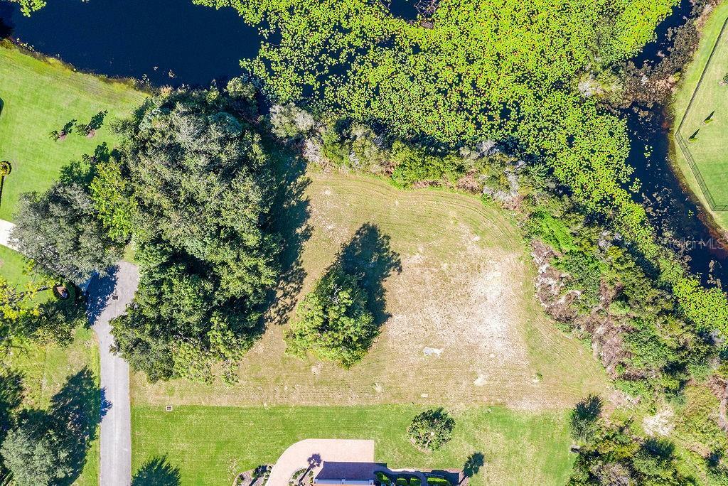 Property Photo: 2625 Tylers River Run FL 33559