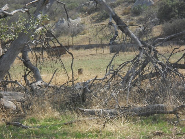 Property Photo:  25336 Potrero Valley Rd  CA 91963 