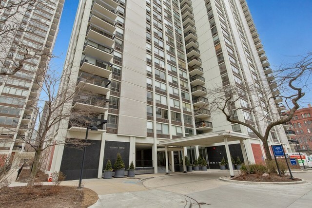 Property Photo: 1460 North Sandburg Terrace 2009 IL 60610