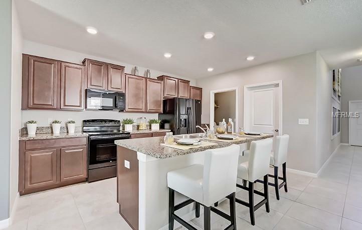 Property Photo:  12736 Lemon Pepper Drive  FL 33578 