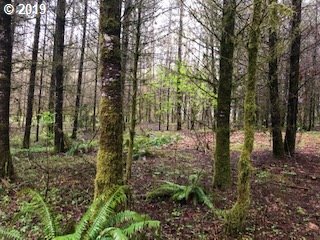 Property Photo: 0 NE Courtney Rd WA 98675