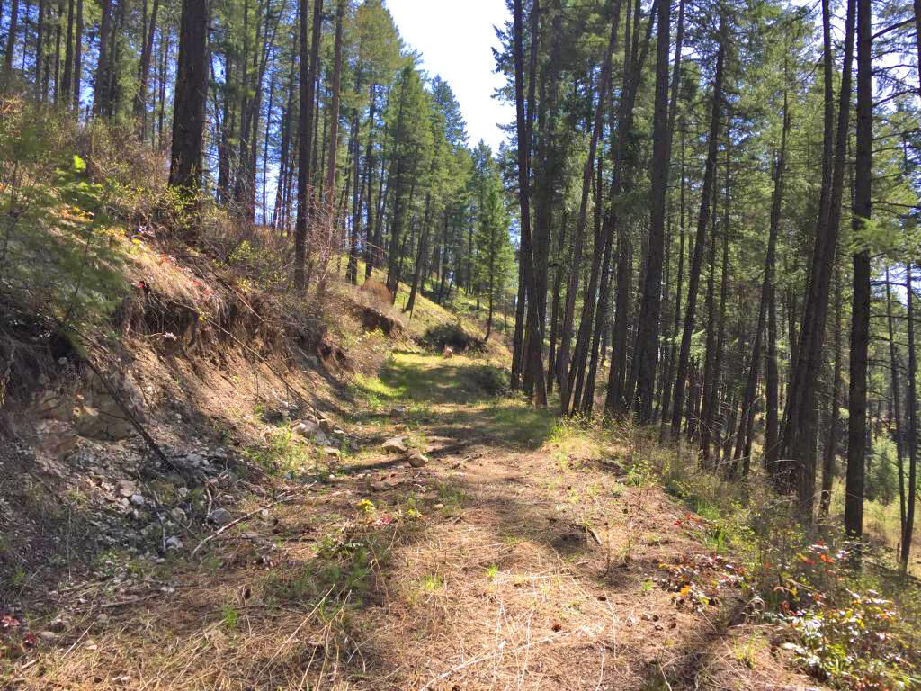 Property Photo: Lot 6 Crown Ridge Way WA 99114