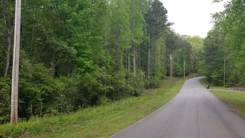 Property Photo: 0 Hale Mountain Court 30141