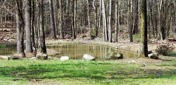 Property Photo: 261 Lockes Hill Road NH 03234