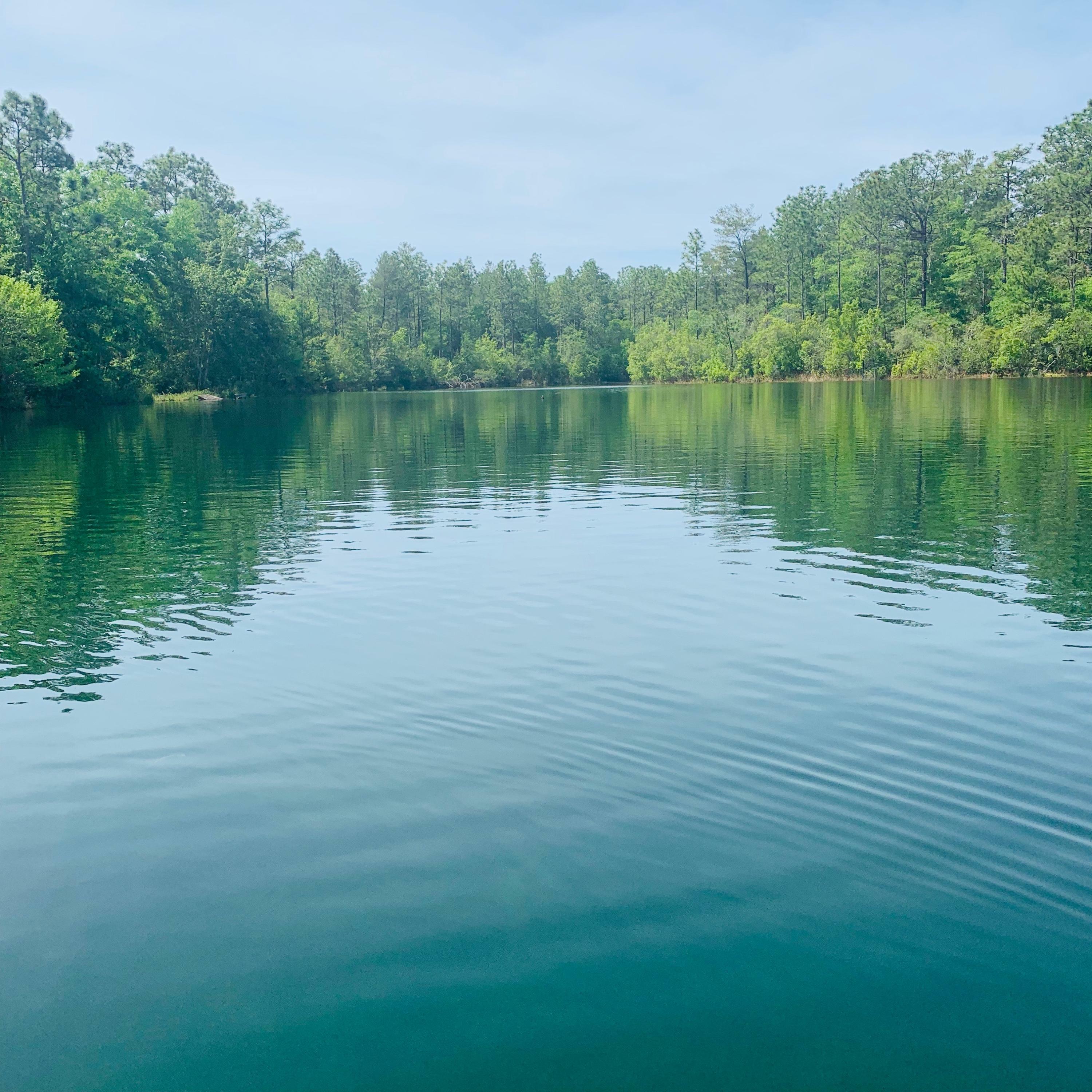 Property Photo: 4384 Lakeview Drive FL 32539