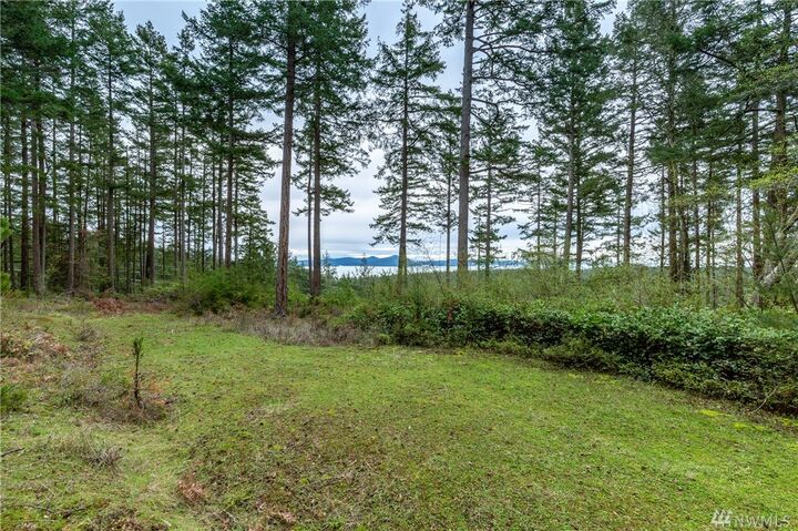 1 Southridge Rd  Decatur Island WA 98221 photo