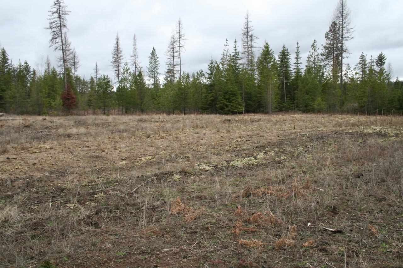 Property Photo:  00 Kirkpatrick Rd  WA 99009 