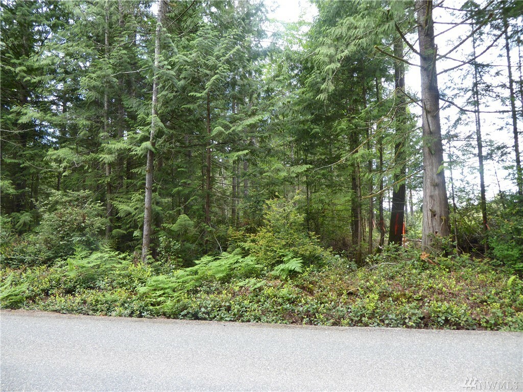 Property Photo:  Lot 13 Sunnyslope Rd  WA 98367 