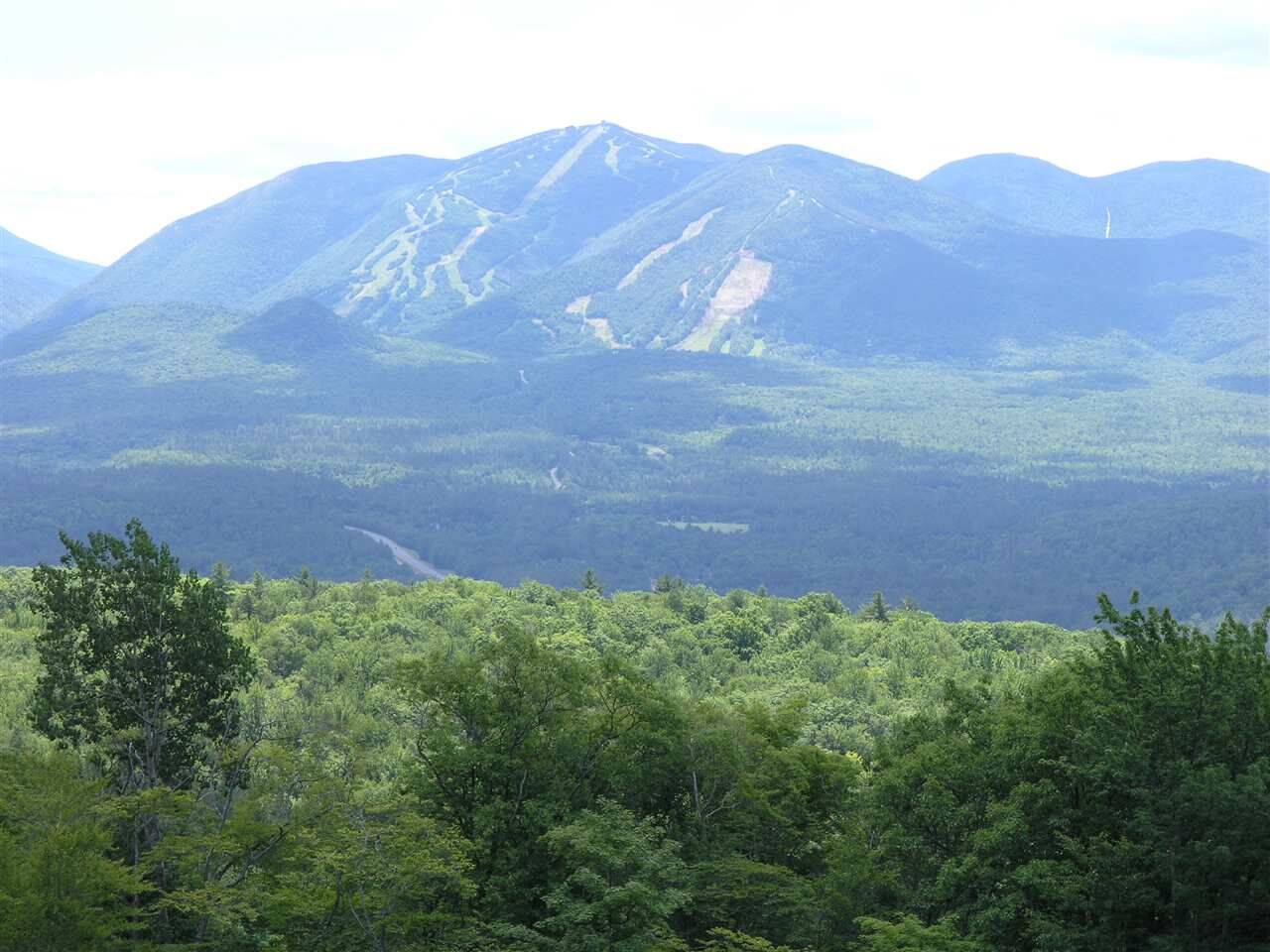 Property Photo:  14 Summit Drive 14  NH 03580 