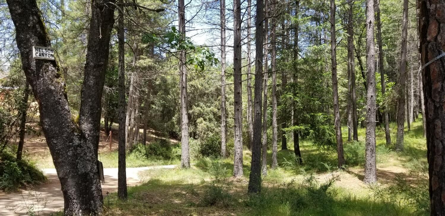 Property Photo:  6400 Shoo Fly Road  CA 95667 