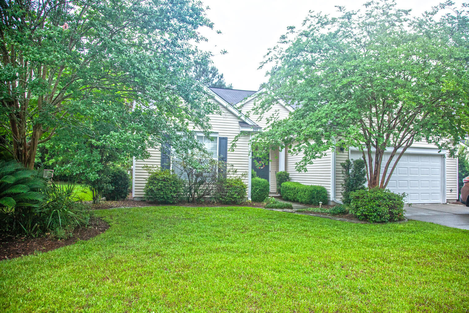 Property Photo:  3190 John Bartram Place Place  SC 29466 