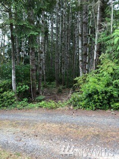 Property Photo: 92 E Marine View Dr WA 98524