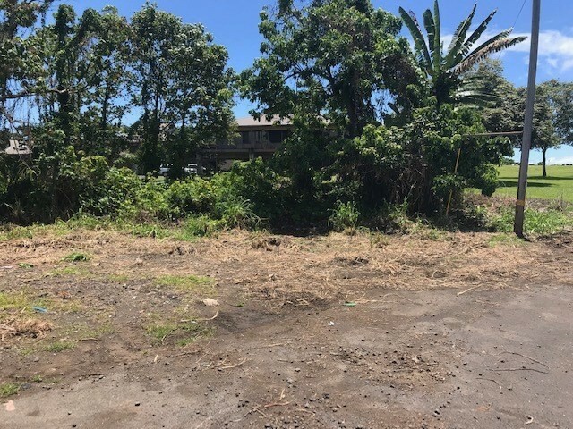 Property Photo:  Kekuanaoa Street  HI 96720 