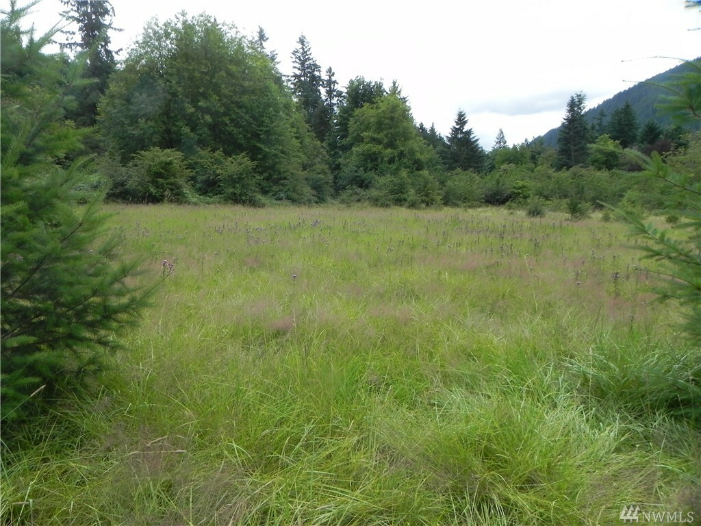 Property Photo:  101 Xx 238th Wy SE  WA 98027 