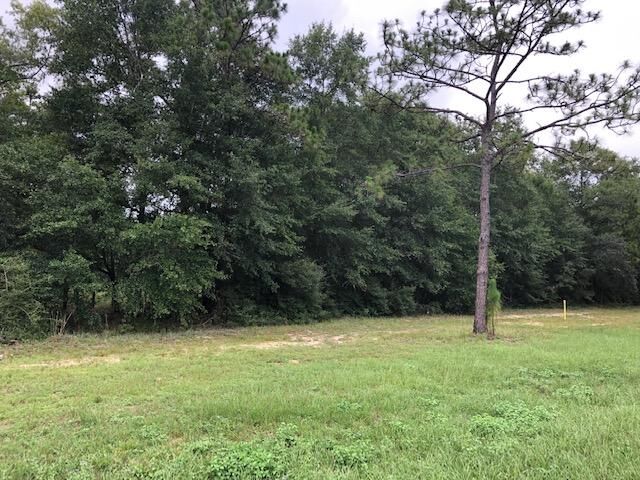Property Photo: 0 W Highway 90 FL 32531