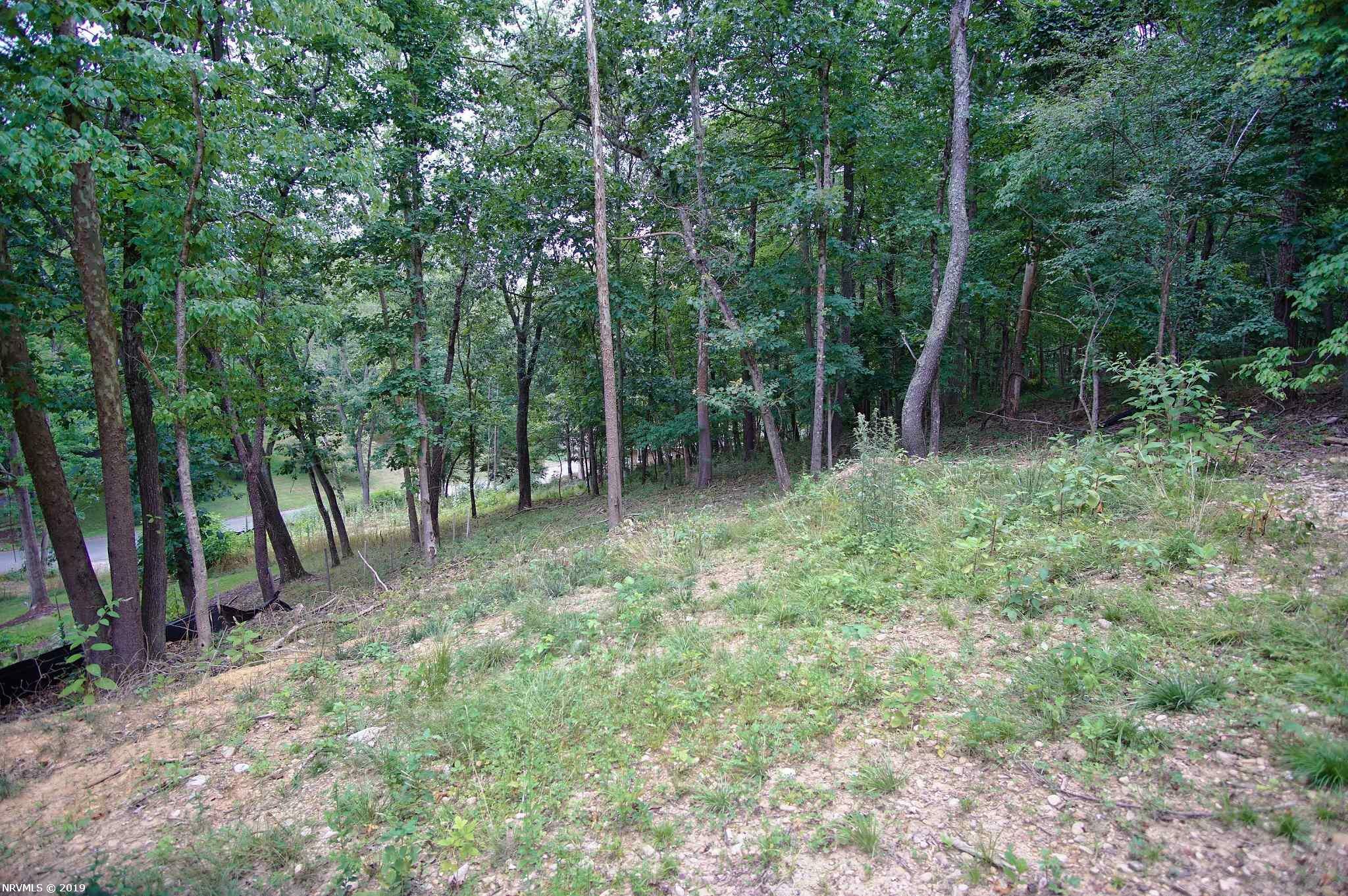 Property Photo:  9 Pine View Drive  VA 24141 