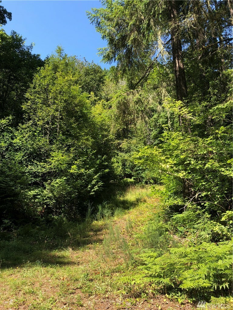 Property Photo: 42xx N Lake Cushman Rd WA 98548