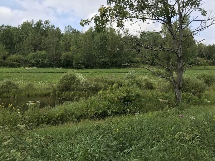 Property Photo:  43 Brigham Hill Lane  VT 05452 