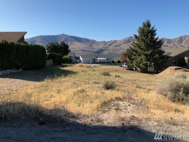 Property Photo:  Lot 219 Butte Rd  WA 98816 