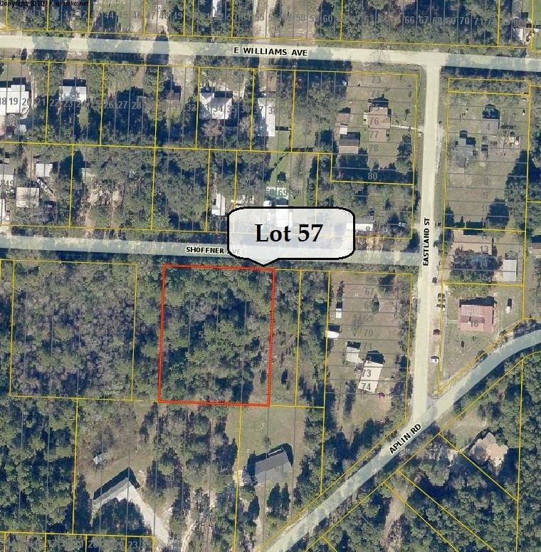 Property Photo:  Lots 56&57 Shoffner Avenue  FL 32539 