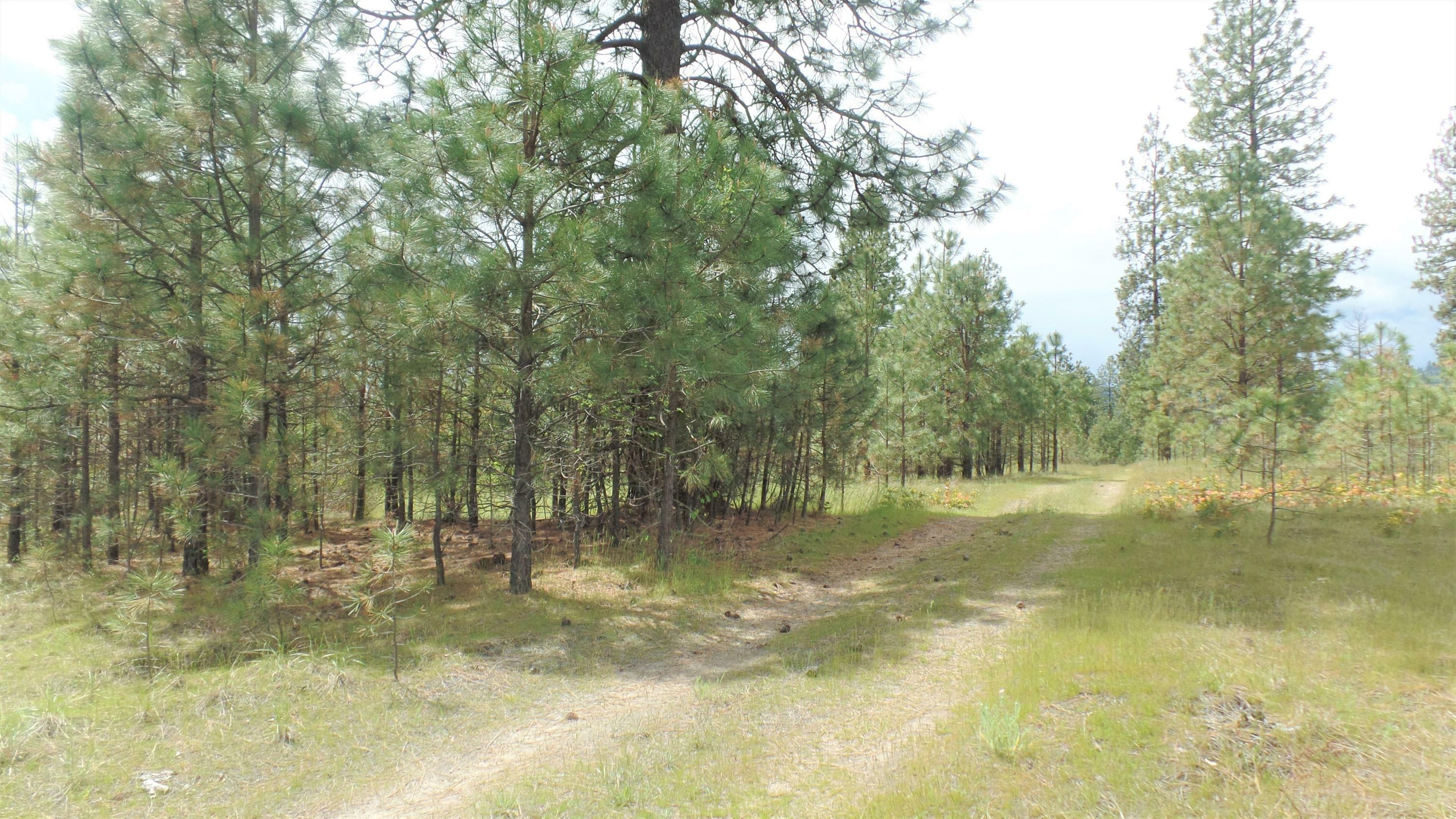 Property Photo:  Lot 111 Old Kettle Rd  WA 99141 