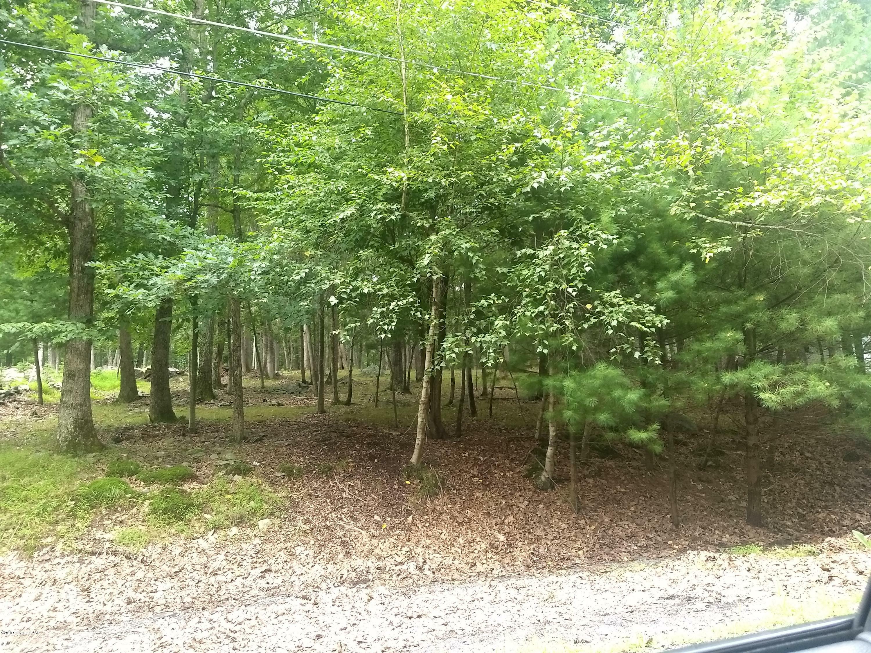 Property Photo:  Lot 52 Pine Grove Dr  PA 18301 