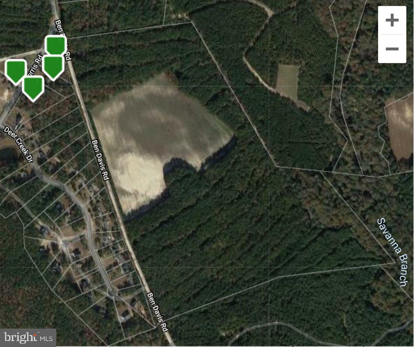 Property Photo:  Lot 87 Ben Davis Road  MD 21850 