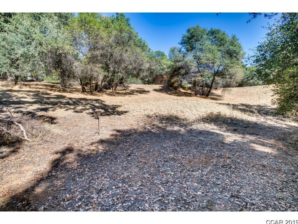 Property Photo:  336 Catalpa Lane  CA 95222 