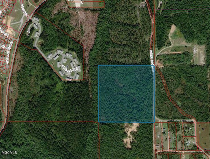 Property Photo: 40ac James Bond Road MS 39503