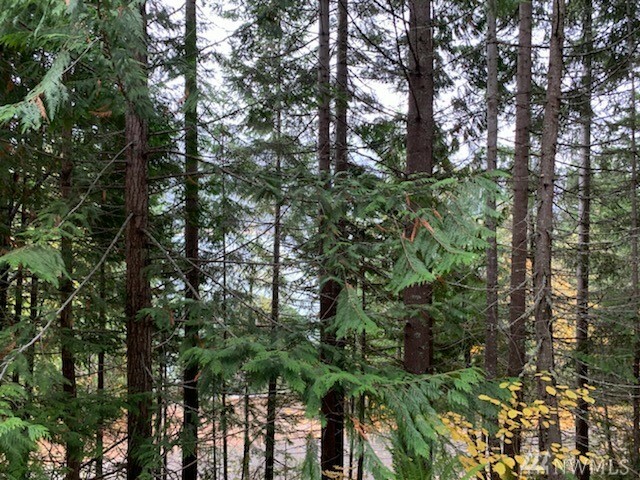 Property Photo:  2465 Via Kachess Rd  WA 98925 