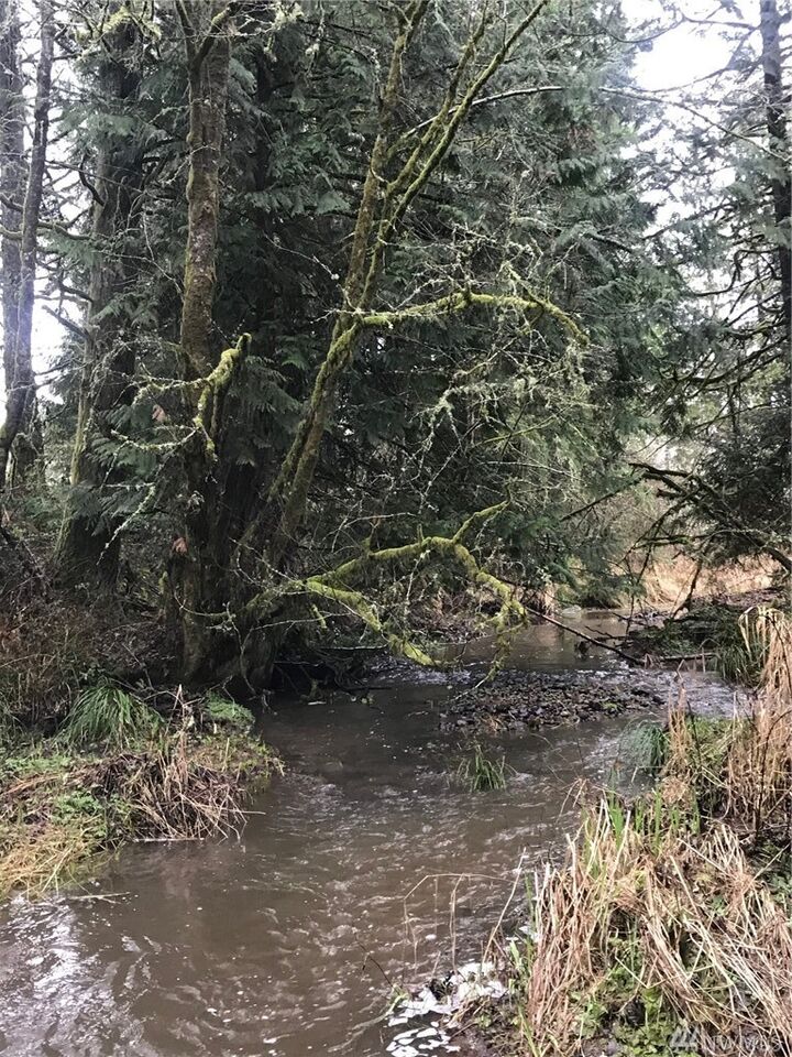 Property Photo:  1 Haywire Rd  WA 98565 