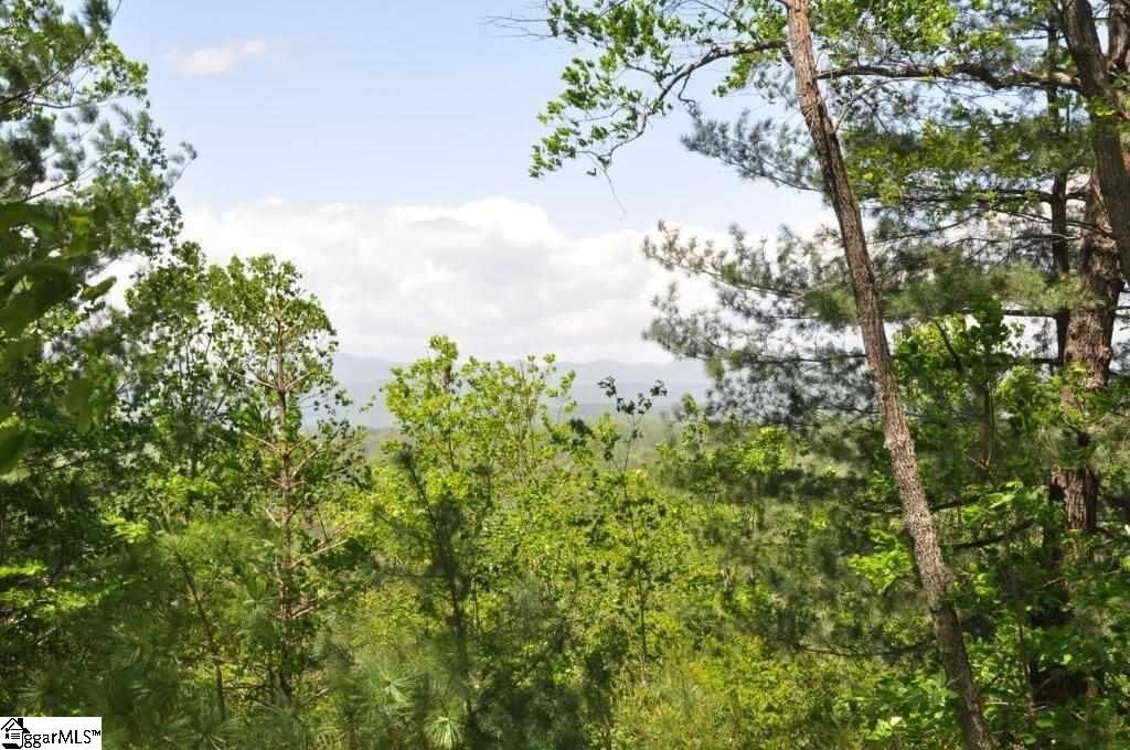 Property Photo: 133 Parkview Lane SC 29685