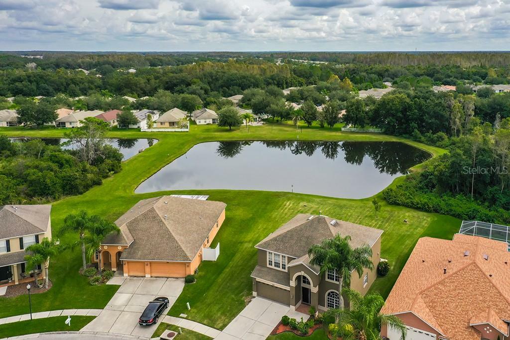 Property Photo:  18307 Cypress Haven Drive  FL 33647 