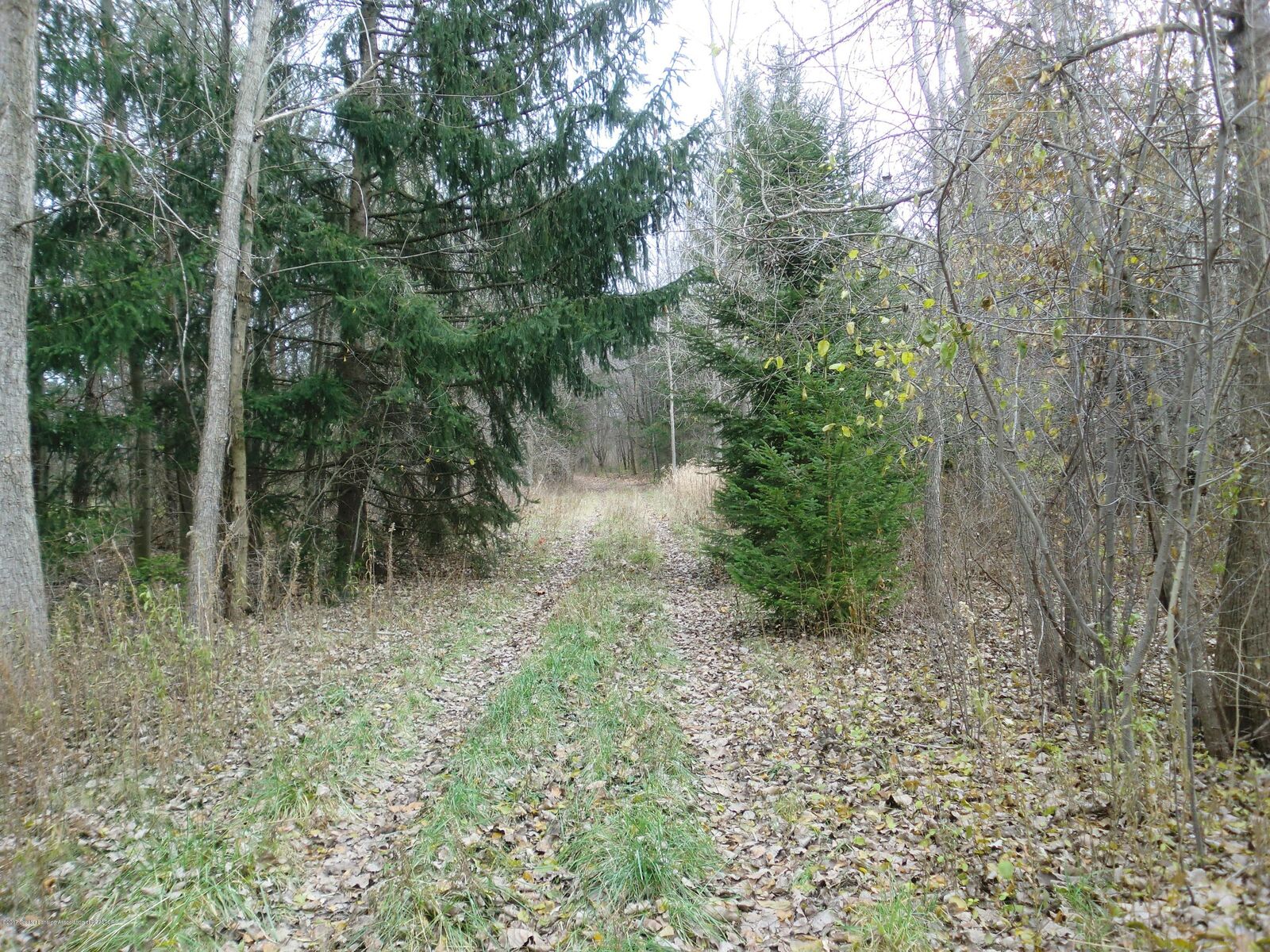 Property Photo:  0 Meridian Road  MI 48895 