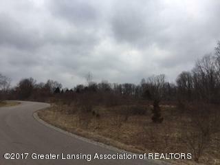 Property Photo:  0 Parcel N Lakepoint Drive  MI 48848 