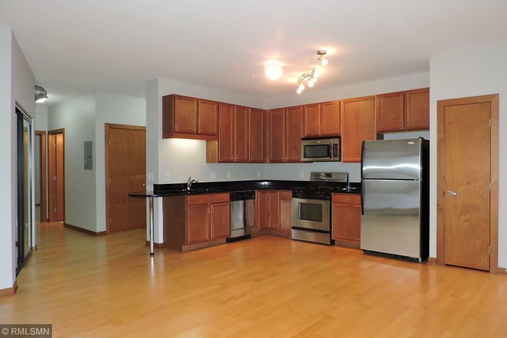 Property Photo:  15 E Franklin Avenue 225  MN 55404 