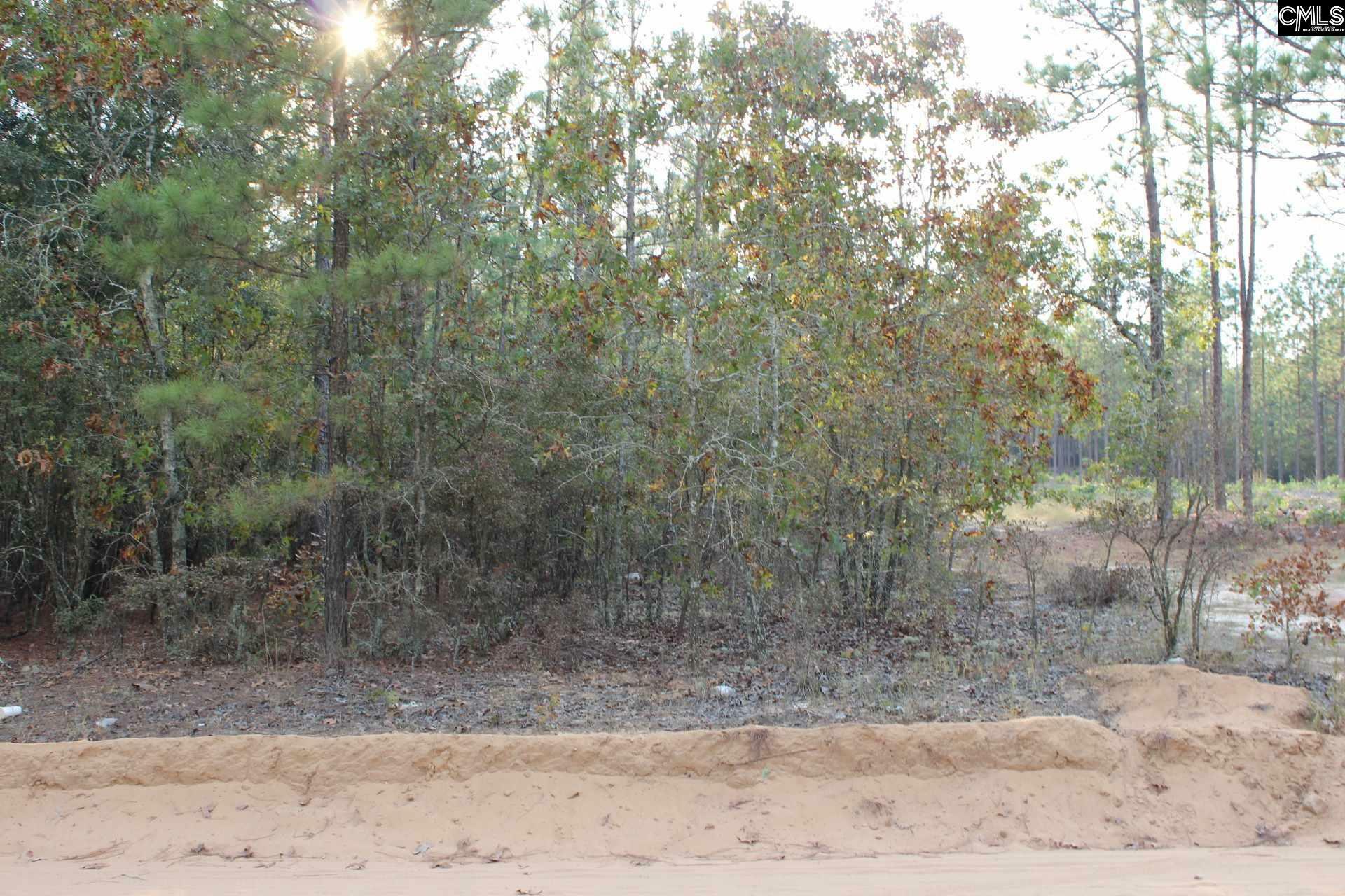 Property Photo: 128 Sugar Bottom SC 29070