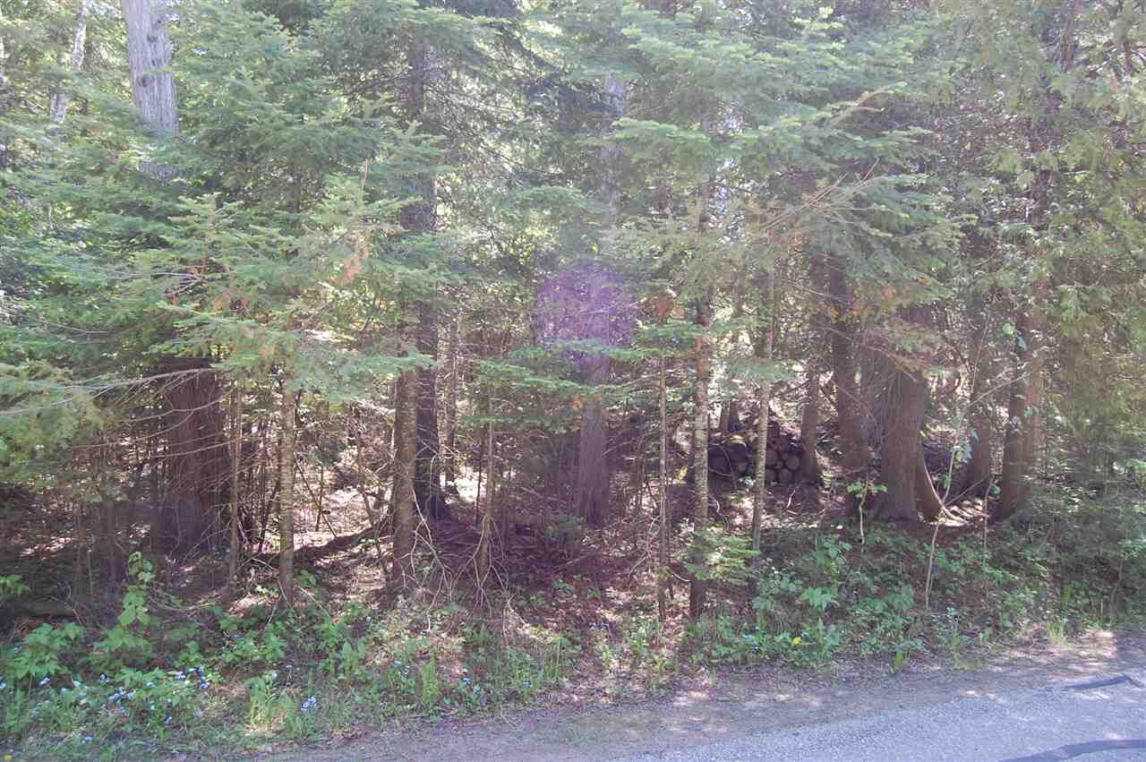 Property Photo: 0 Wenniway MI 49701