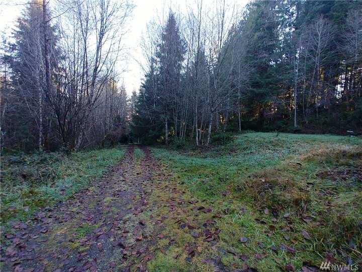 Property Photo: 28 Rogers Lane WA 98541