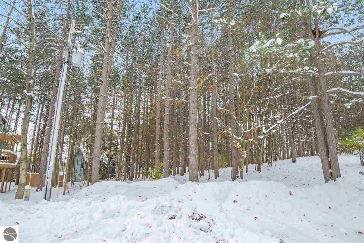Property Photo: 000 Chippewa Drive Lot 43 MI 49683