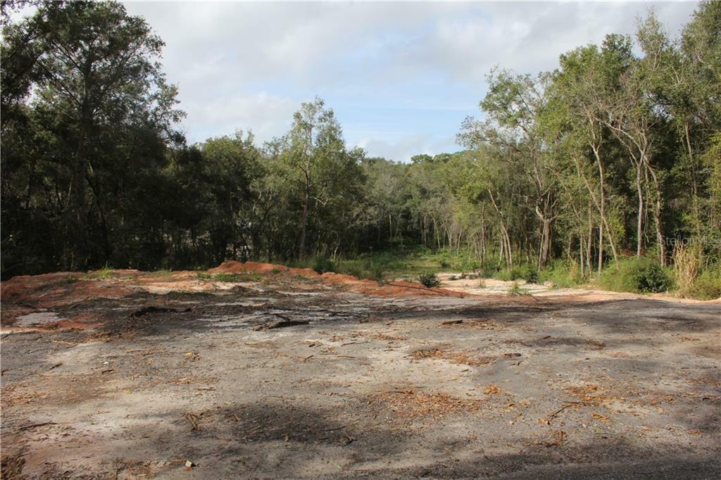 Property Photo:  Old Apopka Road  FL 32703 