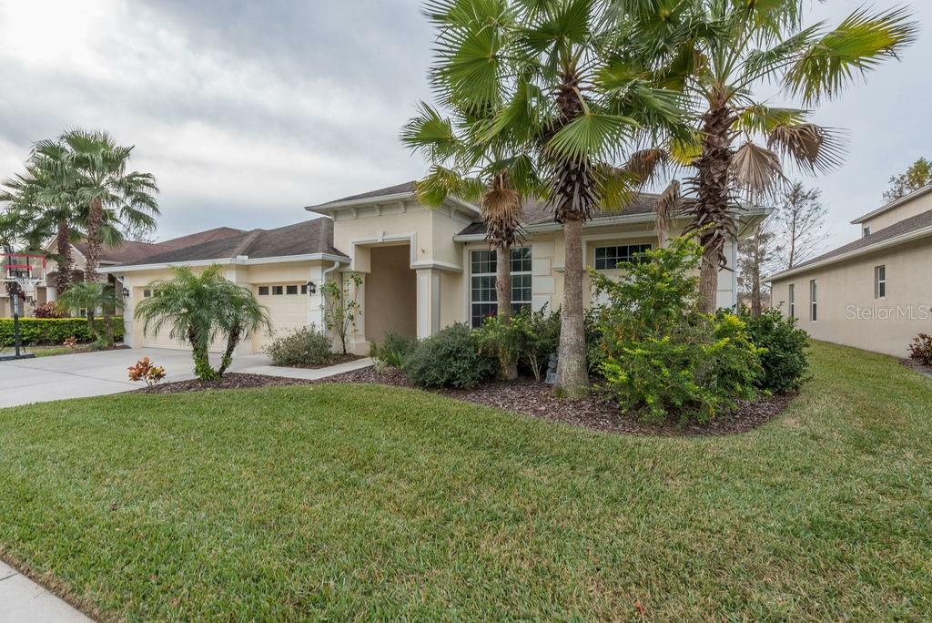 Property Photo:  3311 Marble Crest Drive  FL 34638 